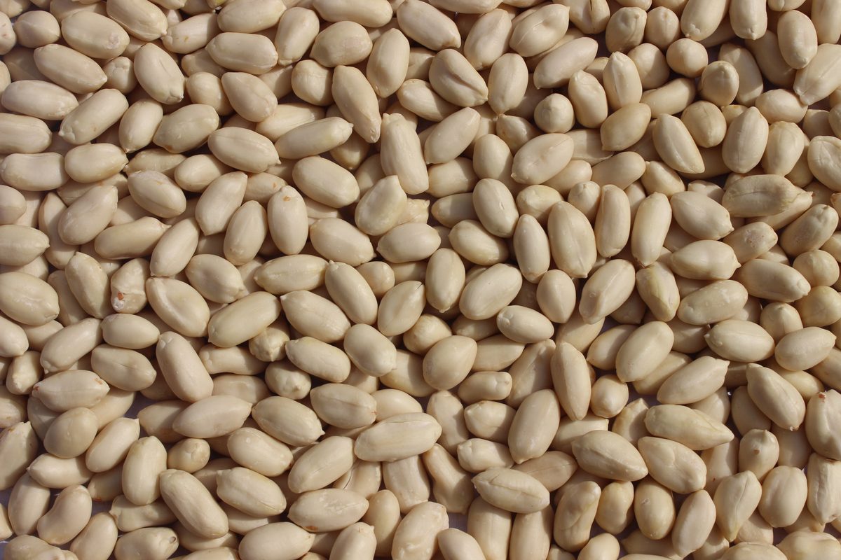 Blanched Peanuts