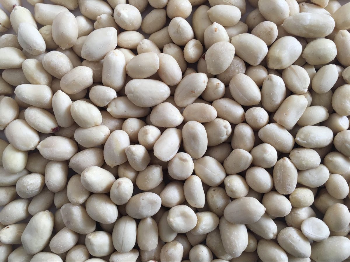 Blanched Peanuts 41/51