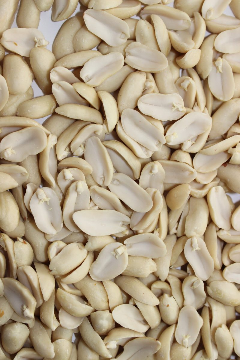 Blanched Peanut Splits