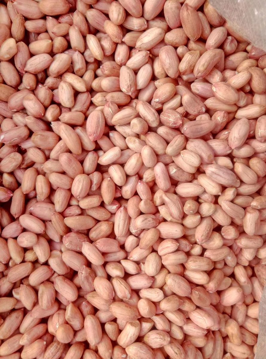 Peanut Kernels 28/32