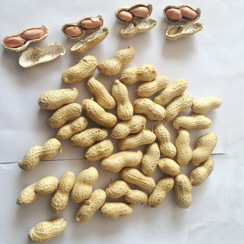 In-Shell Peanuts