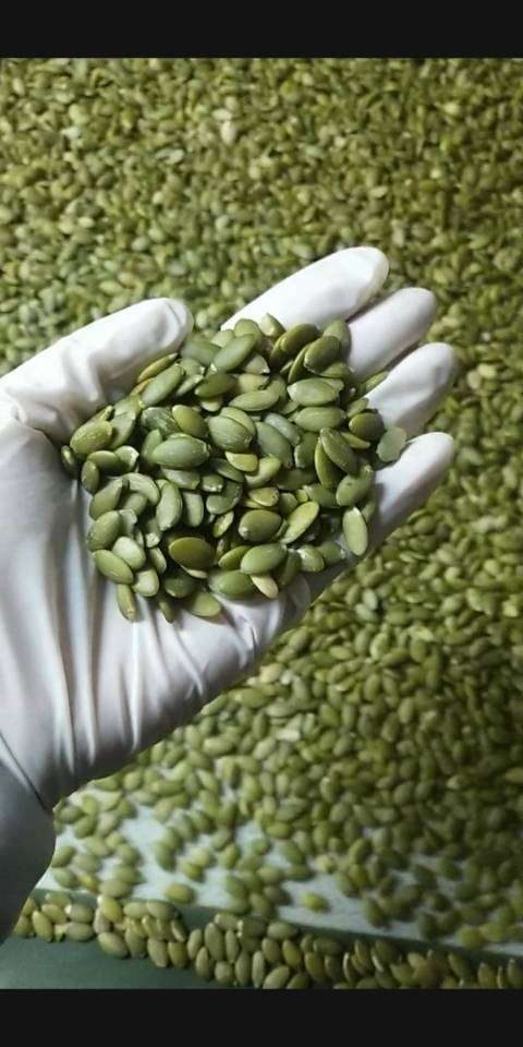 Pumpkin Seed Kernels AA