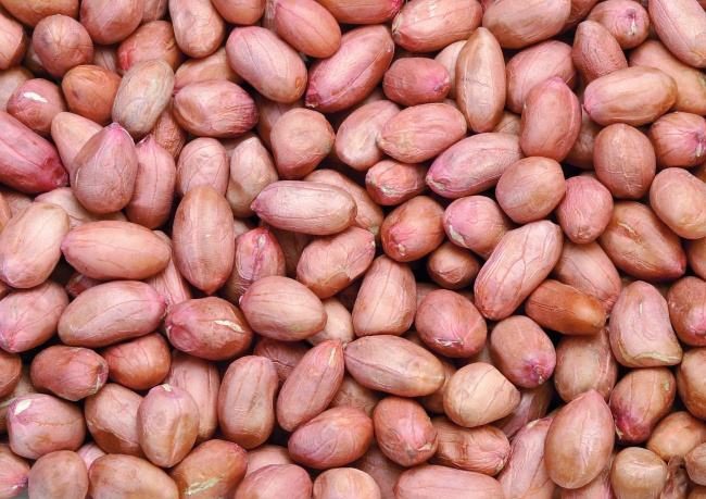 Red Skin Peanuts 24/28