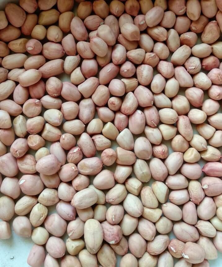 Red Skin Peanuts