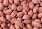 Red Skin Peanuts 38/42