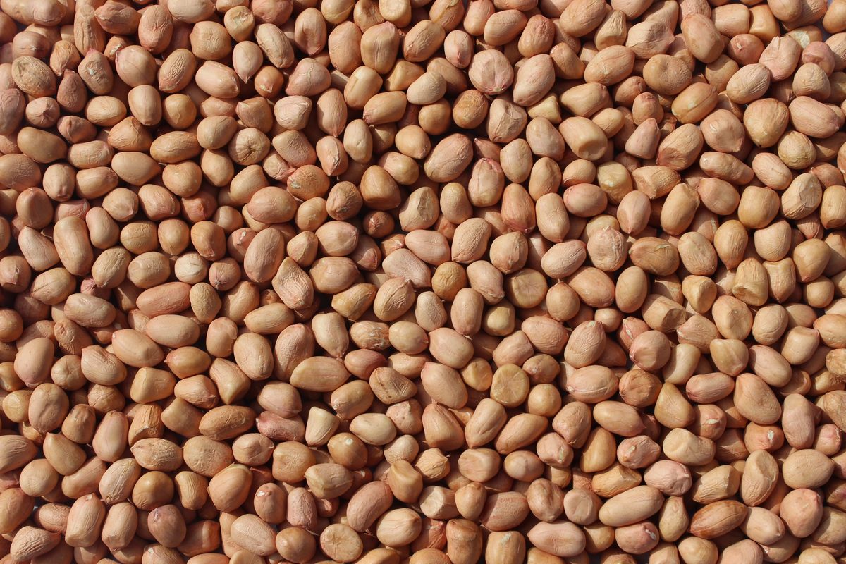 Red Skin Peanuts 40/50
