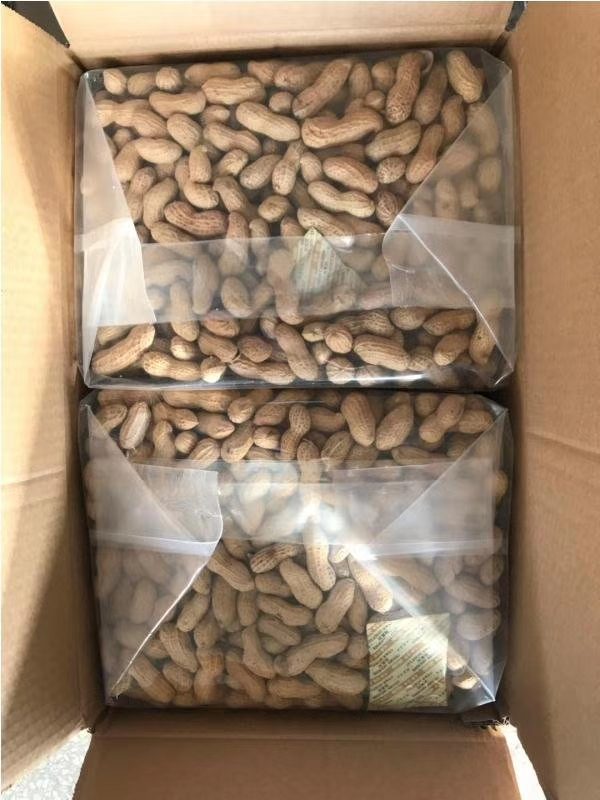 Roasted In-Shell Peanuts