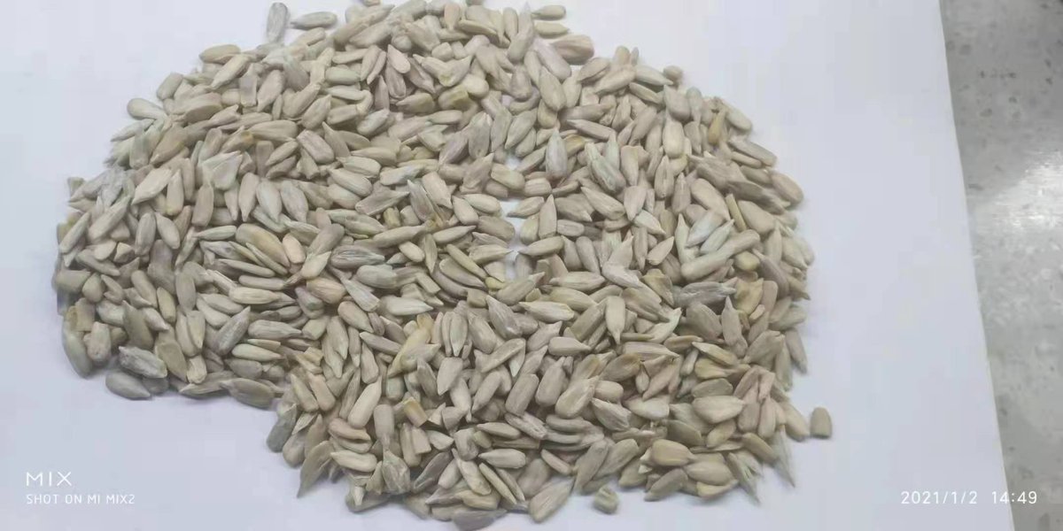 Sunflower Seed Kernels