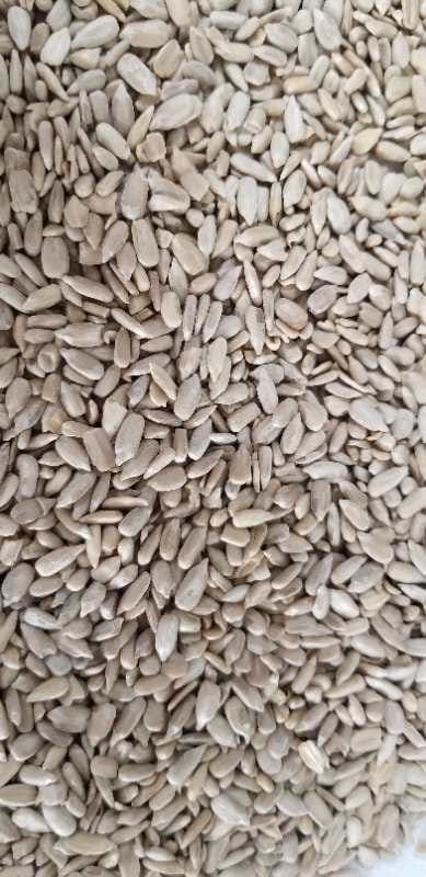 Sunflower Seed Kernels