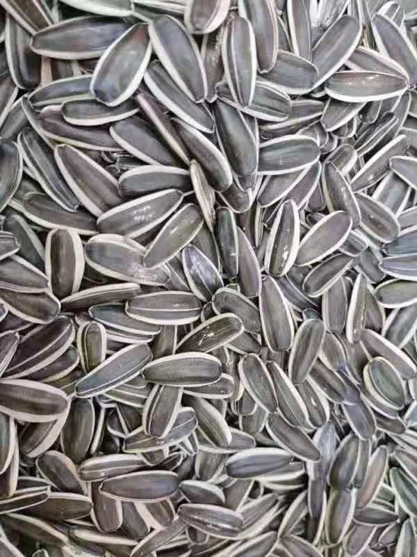 Sunflower Seeds 180/190