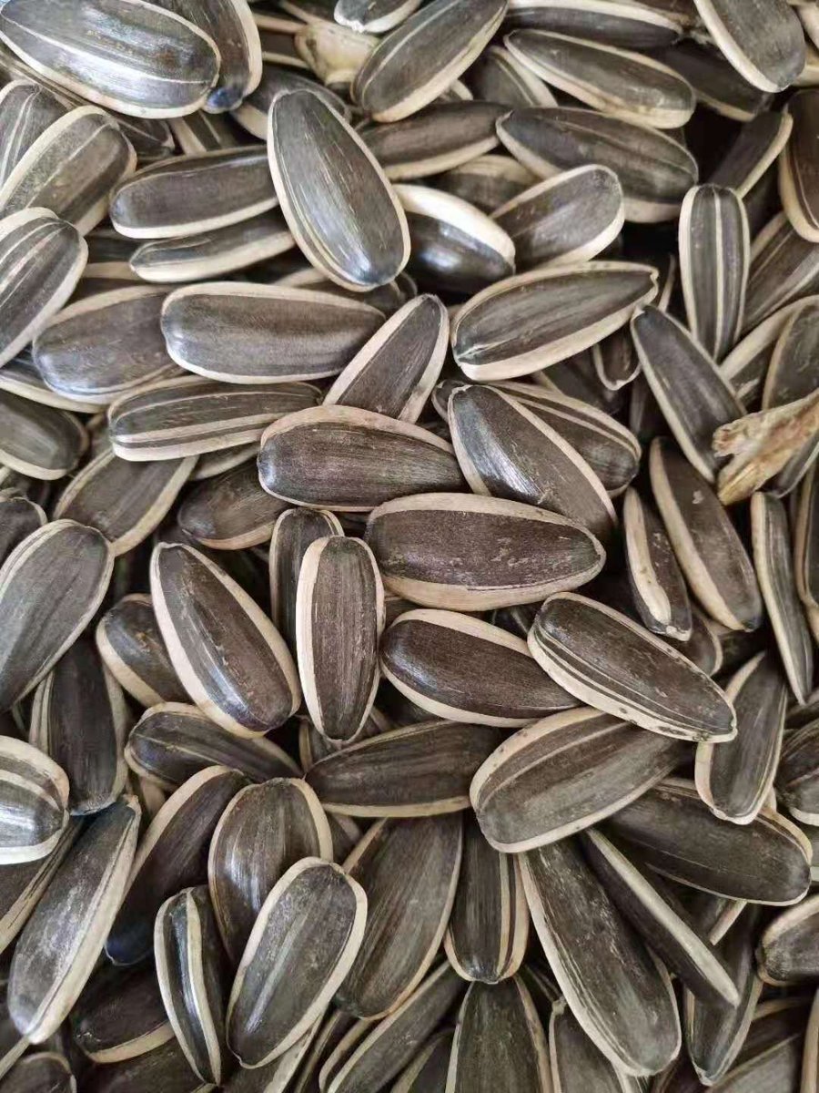 Sunflower Seeds 190/200
