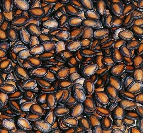 Watermelon Seeds