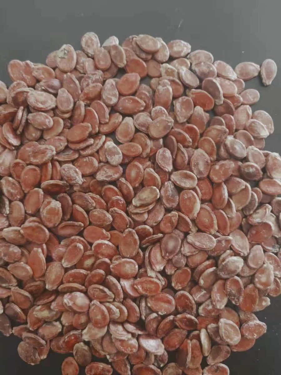 Watermelon Seeds